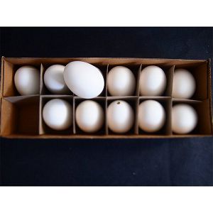 Dekorativna jaja bijela 12kom 190214