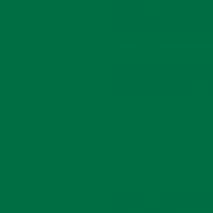 FOLIJA zelena lak 200-2539 45cm d-c-fix