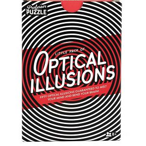 Igra Optical Illusions Professor Puzzle 216339