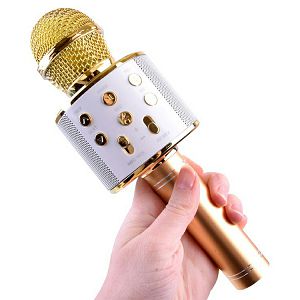 mikrofon-za-karaoke-bezicni-516295-30471-59099-cs_303430.jpg