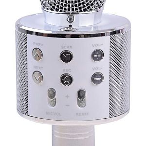 mikrofon-za-karaoke-bezicni-518053-73337-59098-cs_303441.jpg
