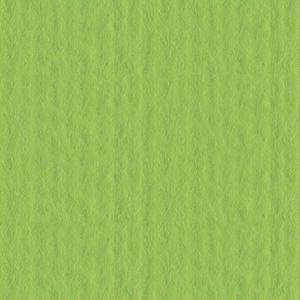Papir Fabriano Cartacrea 35x50cm u boji 220g 1/1 grašak zelena