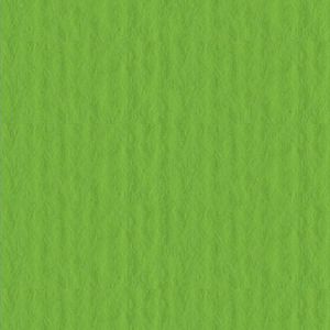 Papir Fabriano Cartacrea 35x50cm u boji 220g 1/1 zelena