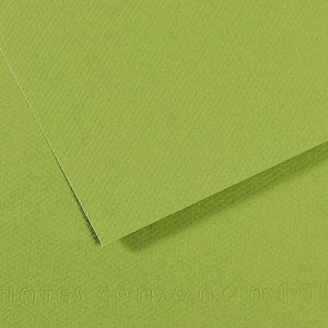Papir slikarski pastel 50x65cm 160g Canson Mi-Teintes zeleni