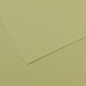 Papir slikarski pastel 50x65cm 160g Canson Mi-Teintes svijetlo zeleni