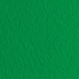 Papir za pastele 50x65cm u boji 160gr Fabriano Tiziano zeleni