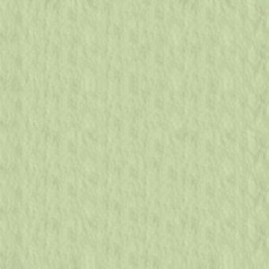 Papir za pastele 50x65cm u boji 160gr Fabriano Tiziano svijetlo zelena