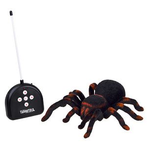 pauk-na-daljinski-tarantula-574975-5141-98657-cs_1.jpg