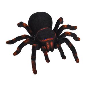 pauk-na-daljinski-tarantula-574975-5141-98657-cs_5.jpg