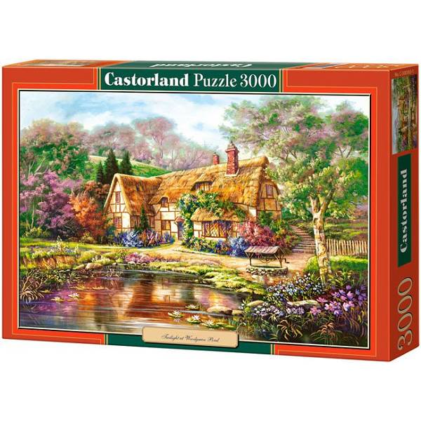 Puzzle 3000 Castorland C-300365 
