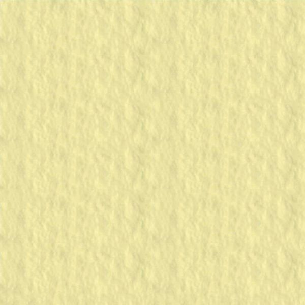 papir-za-pastele-50x65cm-u-boji-160gr-fabriano-tiziano-crema-06527-19-et_1.jpg